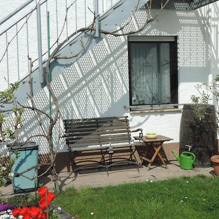 Apartement Am Kirschbaum Mommenheim Eksteriør billede