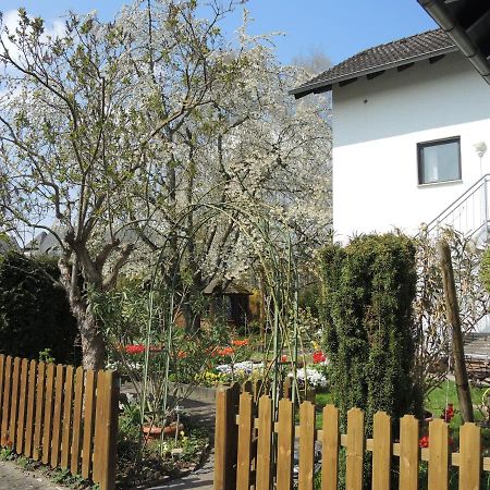 Apartement Am Kirschbaum Mommenheim Eksteriør billede