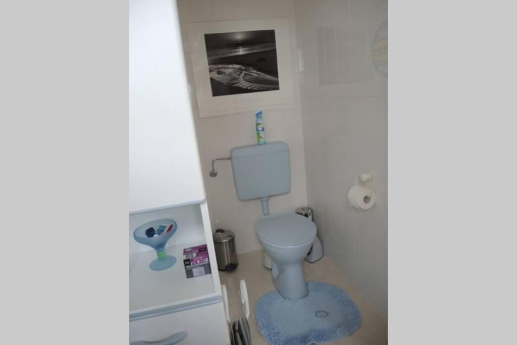 Apartement Am Kirschbaum Mommenheim Eksteriør billede